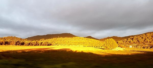 Scenic view of field against sky