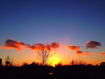 Silhouette of trees at sunset