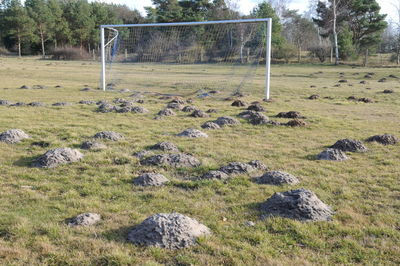 View of soccer field