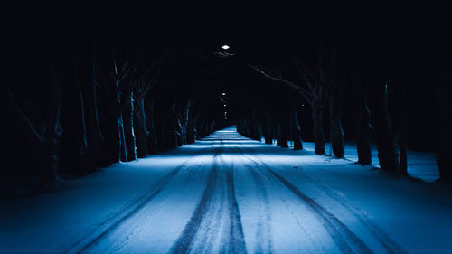 Empty road along trees in winter