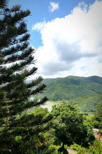 Scenic view of forest against sky