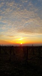 Silhouette field against sky during sunset