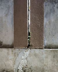 Wall with cracks on it from where plants emerged