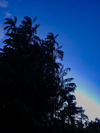 Low angle view of trees against blue sky