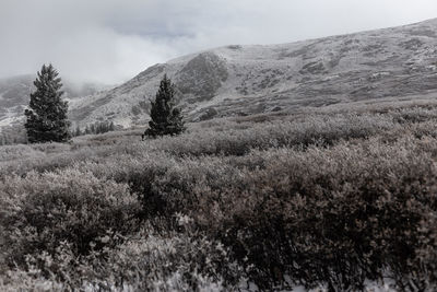Scenic view of landscape against sky