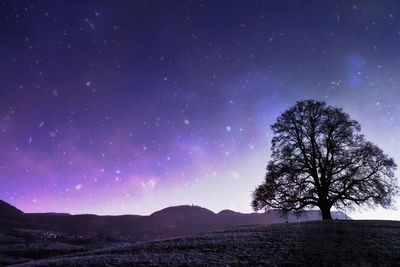 Silhouette trees on field against sky at night