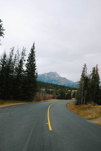 Surface level of road by trees against sky