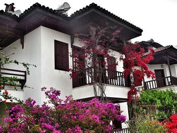 Low angle view of house against sky