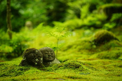 Smiled stone statue in japanese moss garden of sanzenin, kyoto