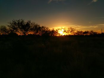 Silhouette trees against sky during sunset