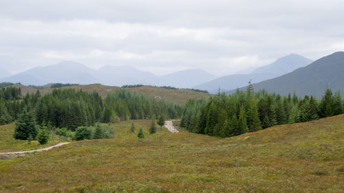 Scenic view of green landscape and mountains against sky