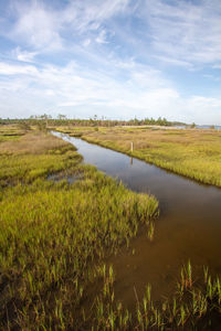 Scenic view of coastal marsh against sky