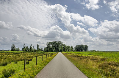Narrow and straight asphalt road between a swamp and a meadow under a spectacular summer sky 