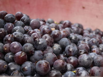 Close-up of blueberries for sale in market