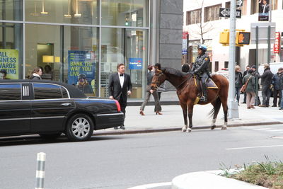 View of horse cart