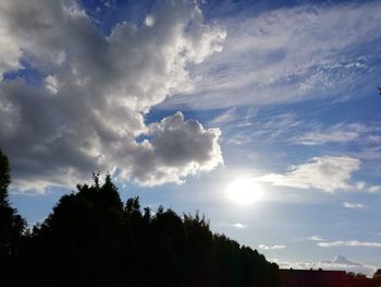 Low angle view of silhouette trees against sky