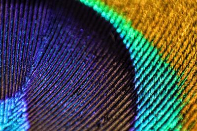 Full frame shot of multi colored pattern