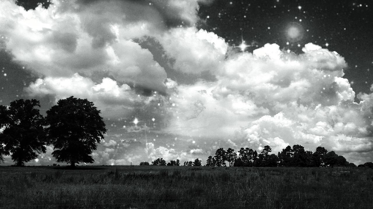 sky, tree, landscape, cloud - sky, field, tranquility, tranquil scene, nature, beauty in nature, scenics, cloudy, silhouette, low angle view, grass, cloud, outdoors, growth, rural scene, non-urban scene, idyllic