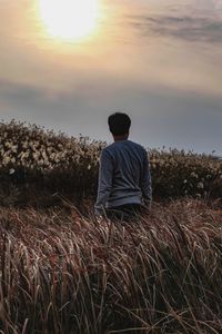 Rear view of man on field against sky during sunset