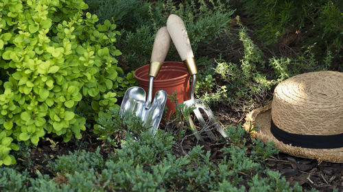 Gardening equipment. flower pot, trowel or shovel and straw hat in the garden. farm background.