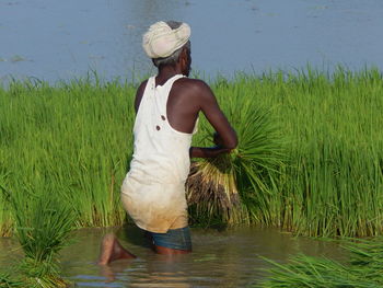 Rear view of man working in formland 