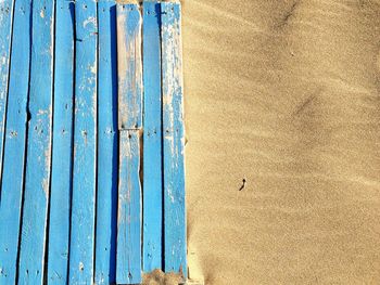 High angle view of bird on beach