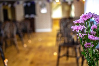 Close-up of pink flowering plant against building