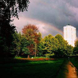 Trees in park against cloudy sky