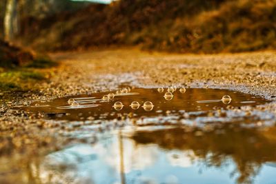 Close-up of water drops