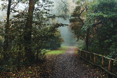 Scenic view of trees against sky