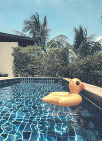 View of inflatable ring in swimming pool