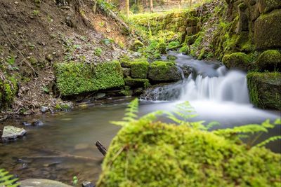 Stream flowing through rocks in forest