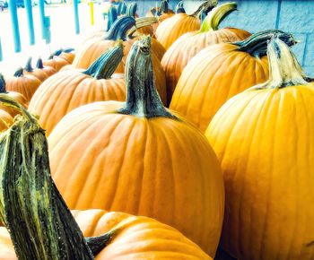 Close-up of pumpkin for sale at market stall