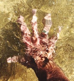 Close-up of hands against sea
