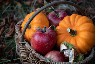 Close-up of pumpkin