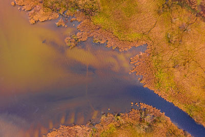 High angle view of autumn leaves on lake