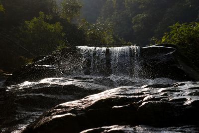 Scenic view of waterfall in forest, darjeeling, india