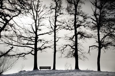 Bare trees on snow covered land against sky