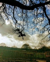 Trees against sky