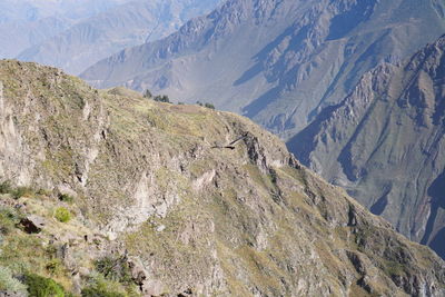 Panoramic view of mountains