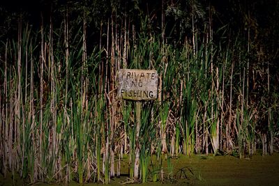 Text on grass