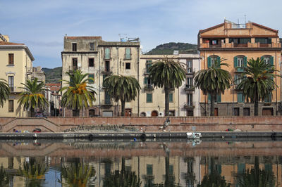 Reflection of palm trees and buildings in city