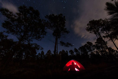Low angle view of illuminated tent in forest against sky at night