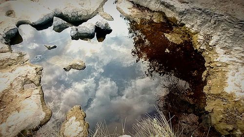 Reflection of trees in puddle