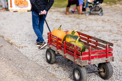 transportation