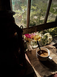 Potted plant on table