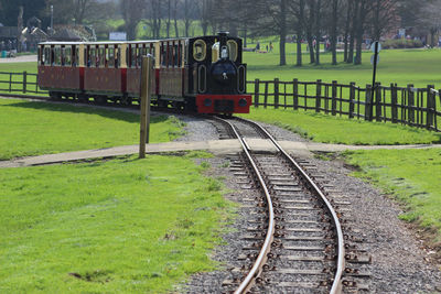 Small train on the railway 