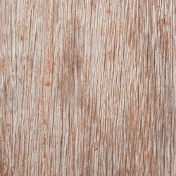 Close-up of wood