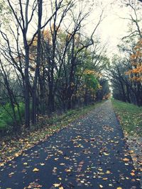 Footpath amidst trees in park during autumn