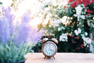 Alarm clock put on woid table with flower.